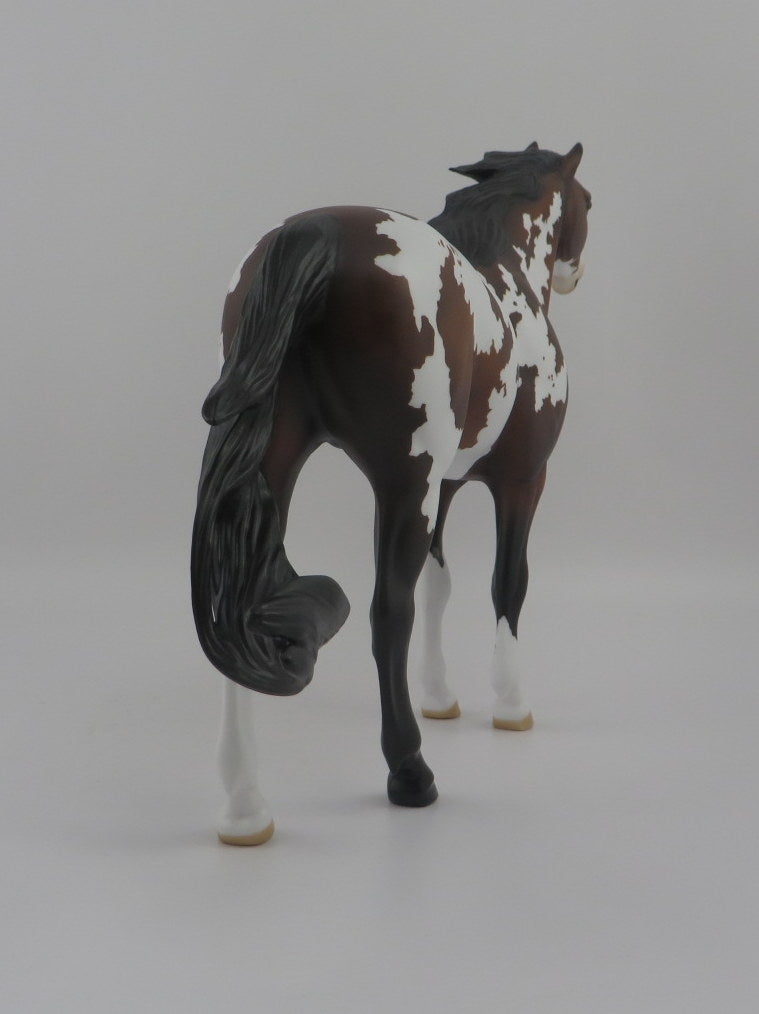 Pezel-OOAK Bay Pinto Spanish Mustang EQ 2020