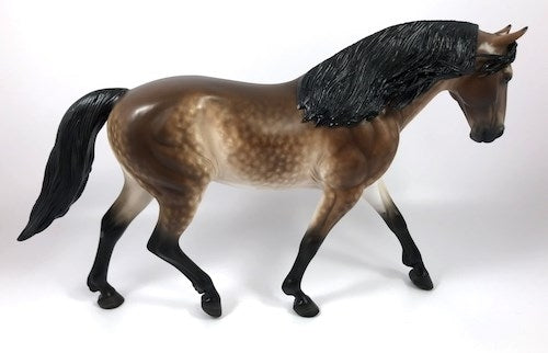 DONUT PARTY-OOAK MEALY STAR DAPPLE BAY IRISH DRAFT BY SHERYL LEISURE SHCF 19