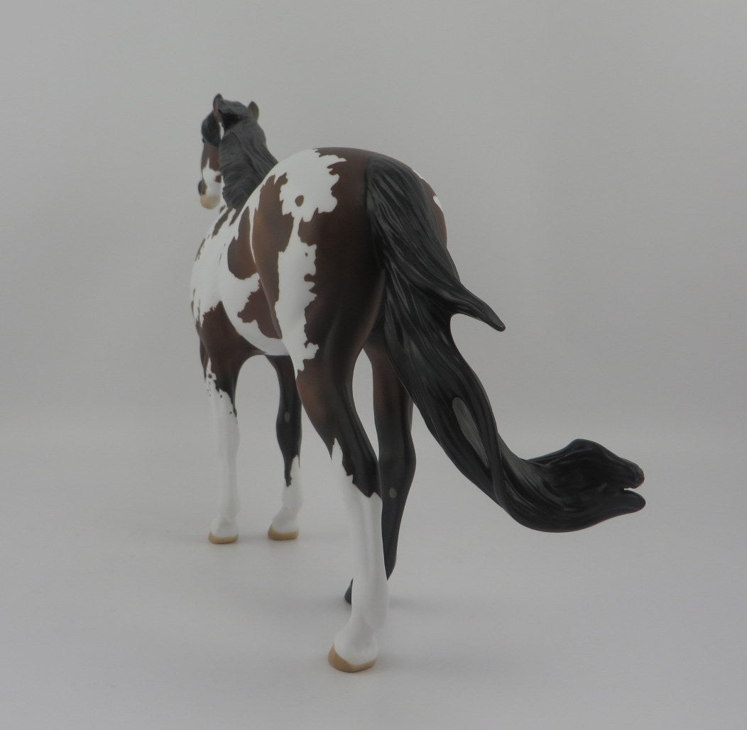 Pezel-OOAK Bay Pinto Spanish Mustang EQ 2020