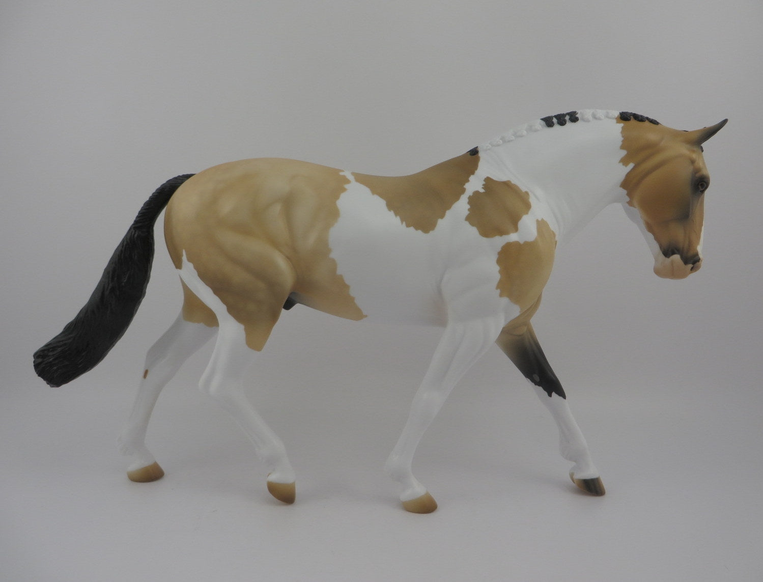 Jacques-OOAK Dapple Buckskin Paint Irish Draft EQ 2020