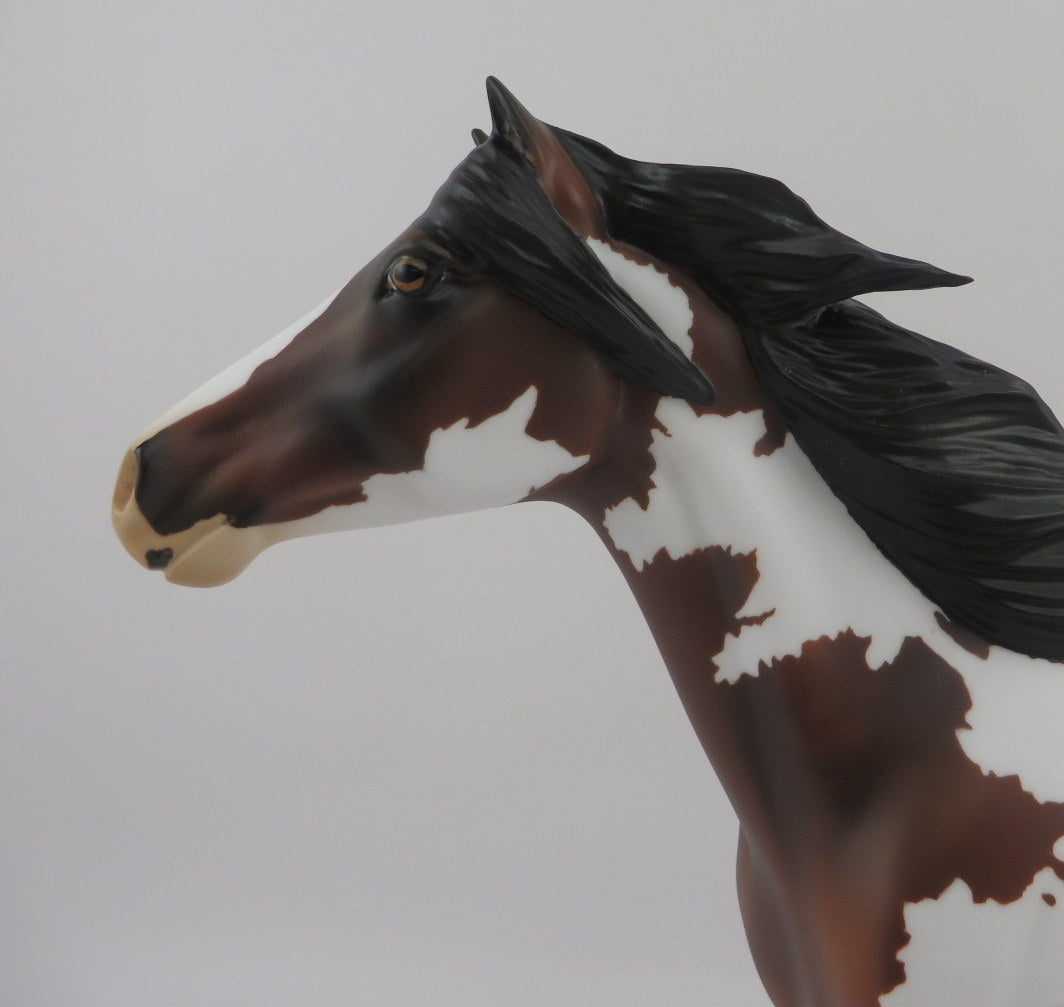 Pezel-OOAK Bay Pinto Spanish Mustang EQ 2020