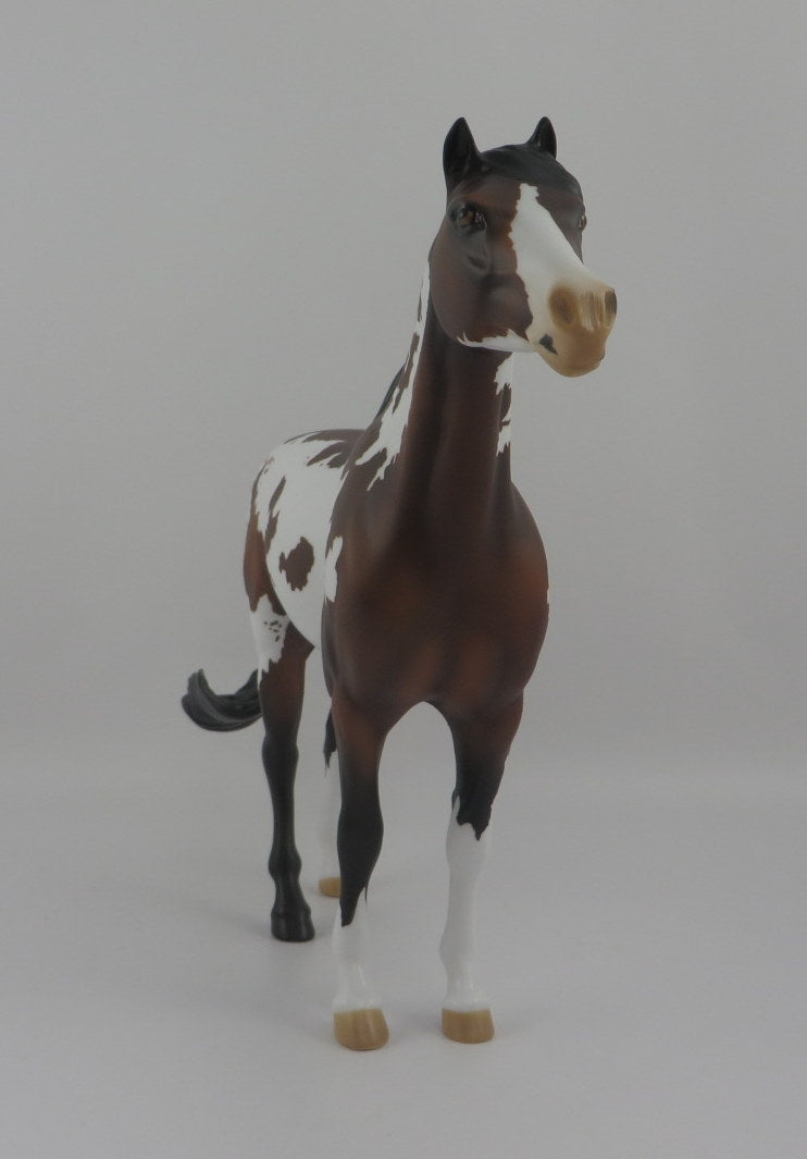 Pezel-OOAK Bay Pinto Spanish Mustang EQ 2020