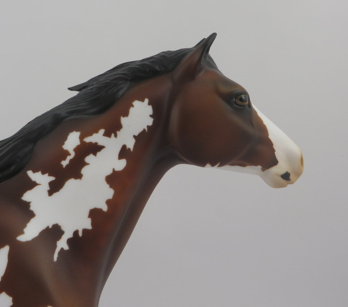 Pezel-OOAK Bay Pinto Spanish Mustang EQ 2020
