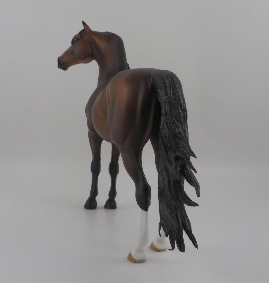 Brandt-OOAK Dapple Bay Morgan EQ 2020