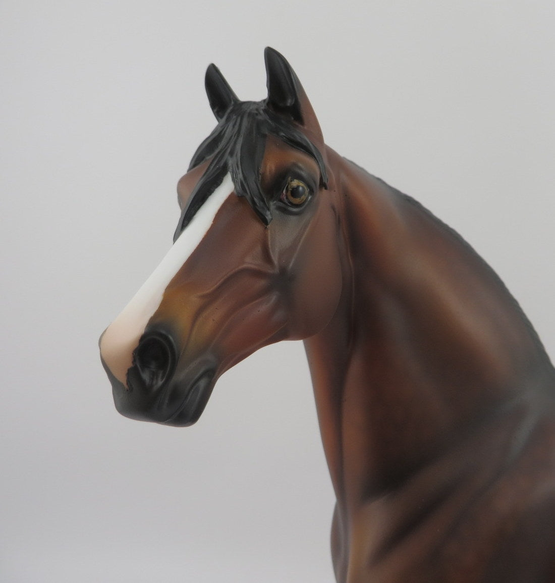 Brandt-OOAK Dapple Bay Morgan EQ 2020