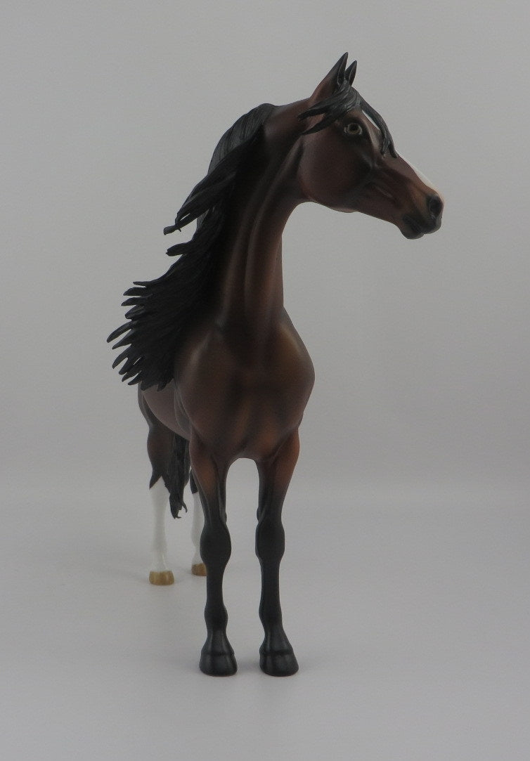 Brandt-OOAK Dapple Bay Morgan EQ 2020