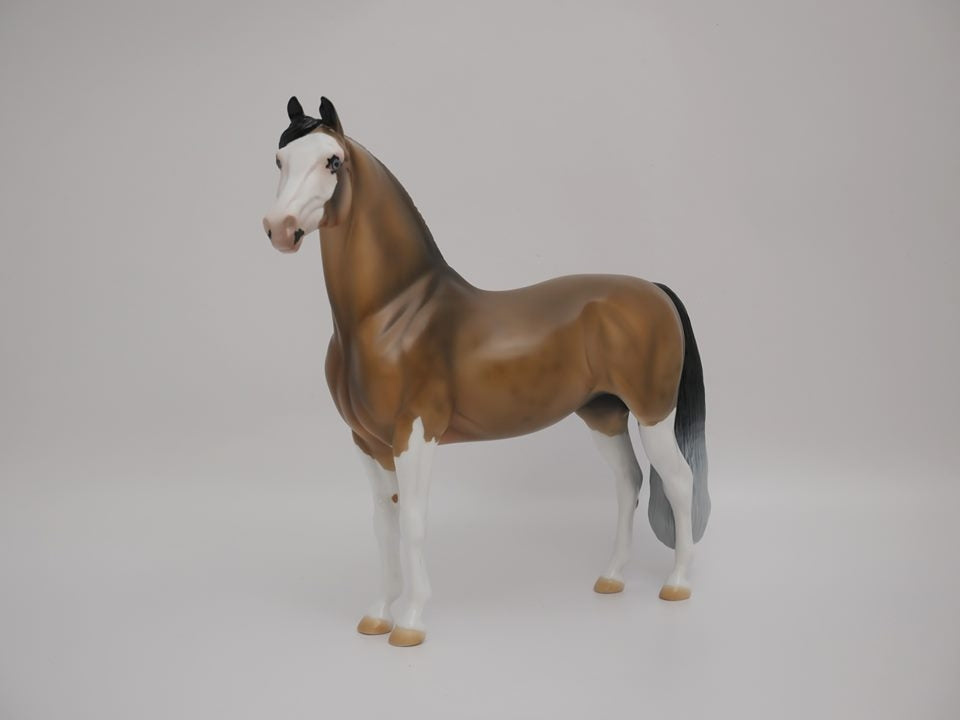 MAISY-OOAK BUCKSKIN PAINT MORGAN BY AUDERY DIXON 7/2/20