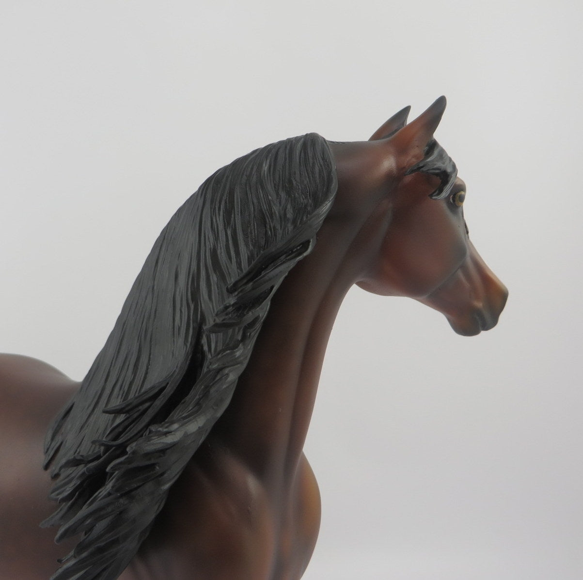 Brandt-OOAK Dapple Bay Morgan EQ 2020