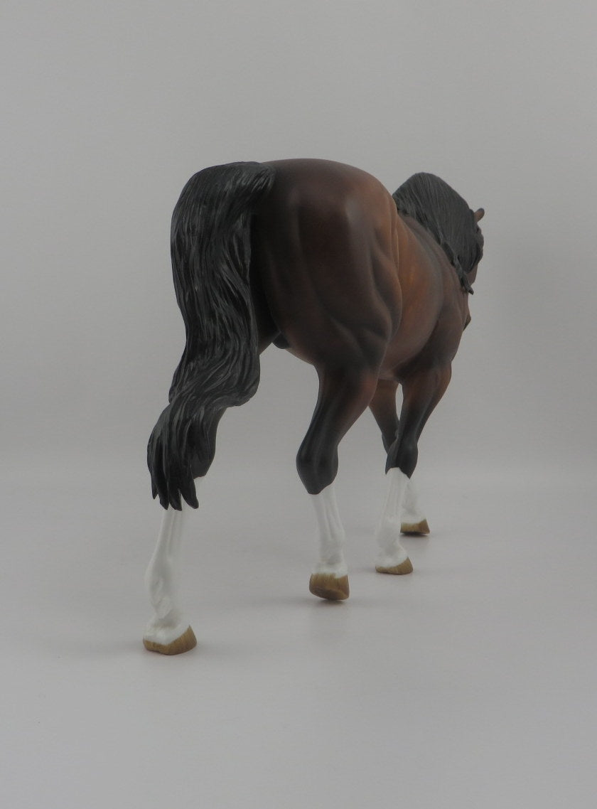 Night Bird-OOAK Dapple Bay Irish Draft EQ 2020