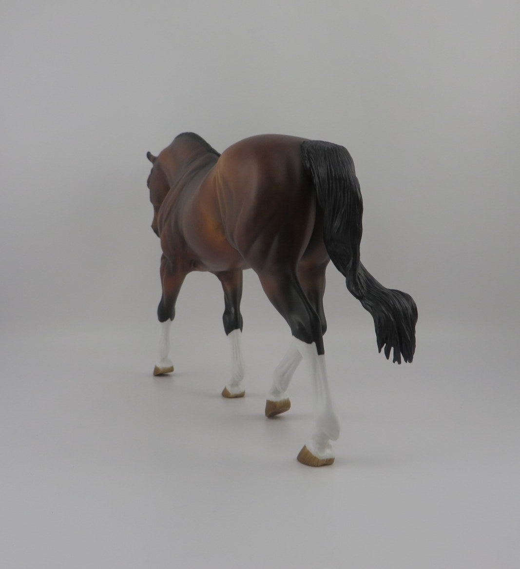 Night Bird-OOAK Dapple Bay Irish Draft EQ 2020