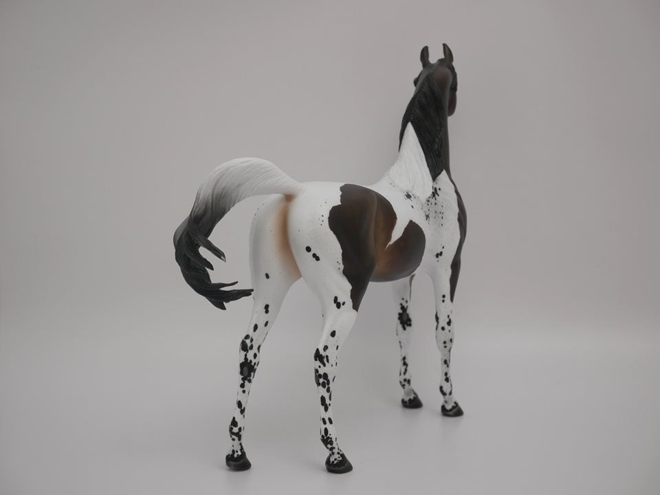 TRY ME-OOAK BAY PINTALOOSA MODEL HORSE BY AUDREY DIXON 7/2/20