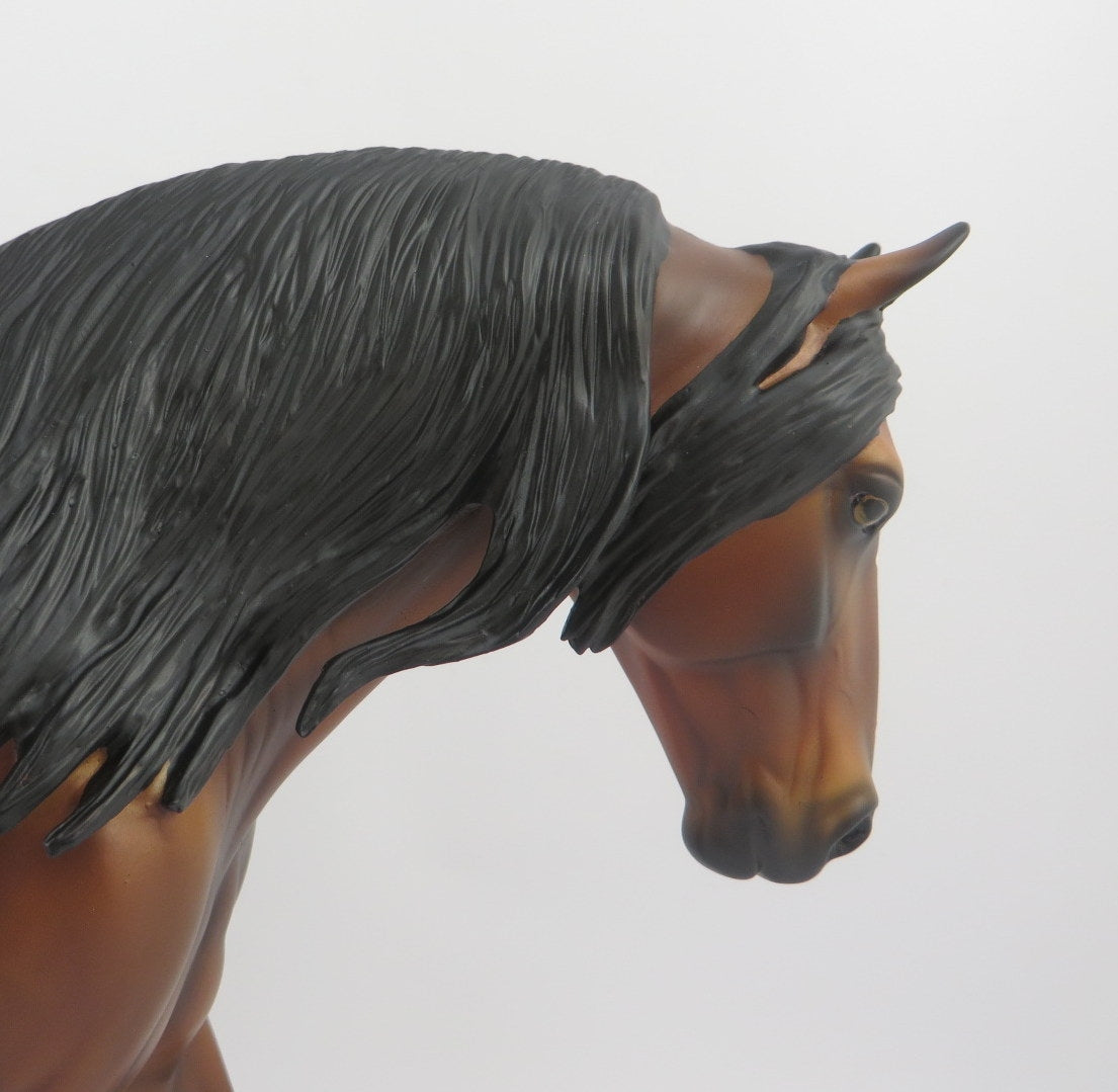 Night Bird-OOAK Dapple Bay Irish Draft EQ 2020