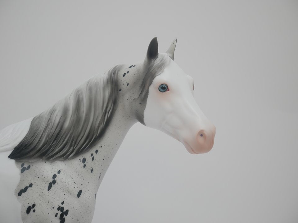 Confetti King -OOAK-PINTALOOSA  ISH By Audrey Dixon