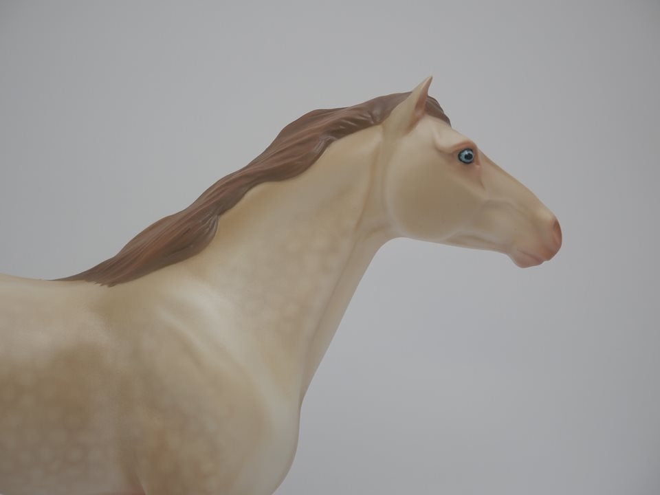 MOCCASINS-OOAK DAPPLE CHAMPANGE MUSTANG BY AUDREY DIXON 3/26/20