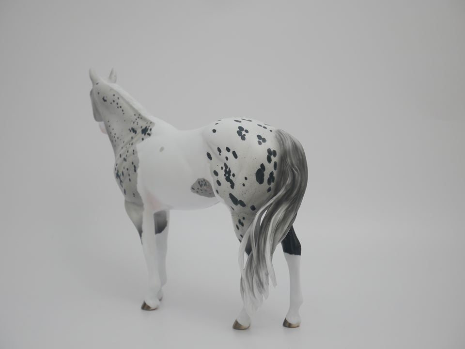 Confetti King -OOAK-PINTALOOSA  ISH By Audrey Dixon