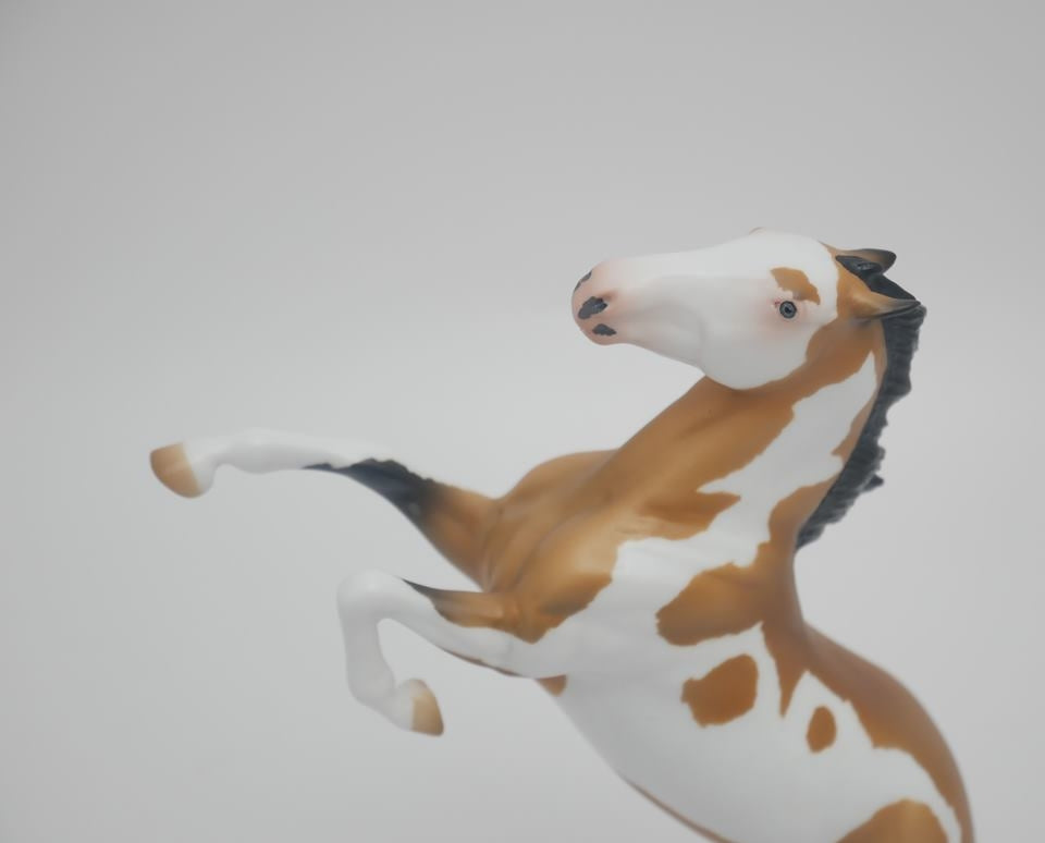 Jokers Wild -- OOAK by Audrey Dixon Custom Tail