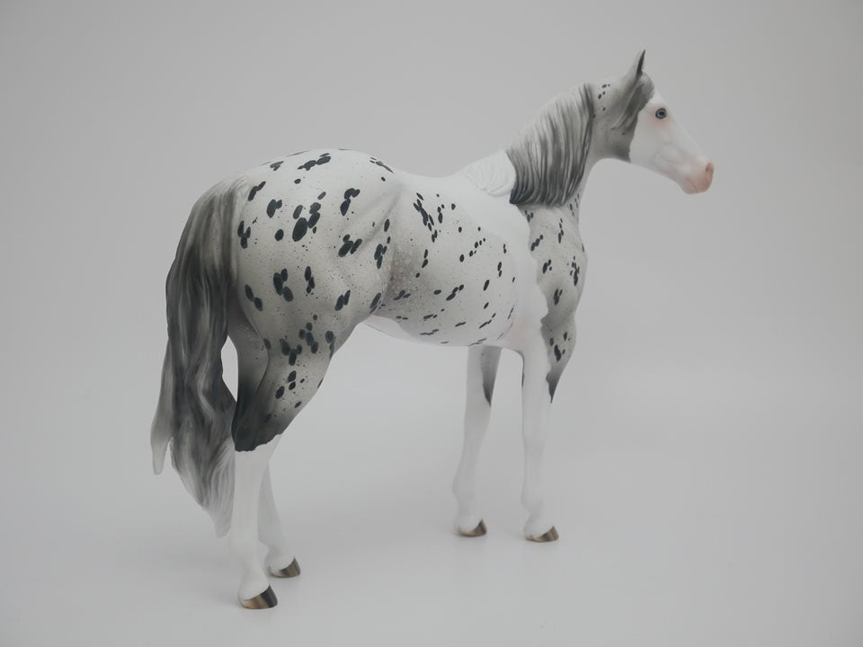 Confetti King -OOAK-PINTALOOSA  ISH By Audrey Dixon
