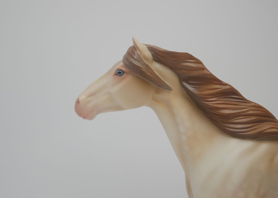 MOCCASINS-OOAK DAPPLE CHAMPANGE MUSTANG BY AUDREY DIXON 3/26/20