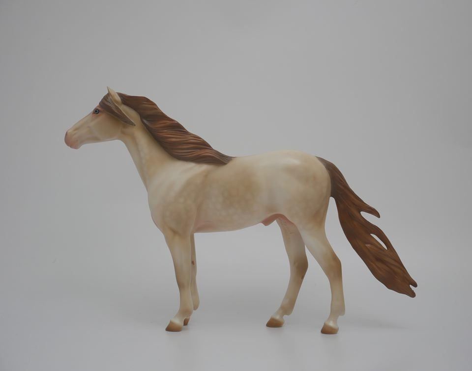 MOCCASINS-OOAK DAPPLE CHAMPANGE MUSTANG BY AUDREY DIXON 3/26/20