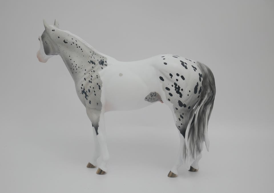 Confetti King -OOAK-PINTALOOSA  ISH By Audrey Dixon