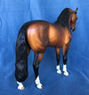 BE THE LIGHT-OOAK STAR DAPPLE BAY ANDALUSIAN BY SHERYL LEISURE 5/22