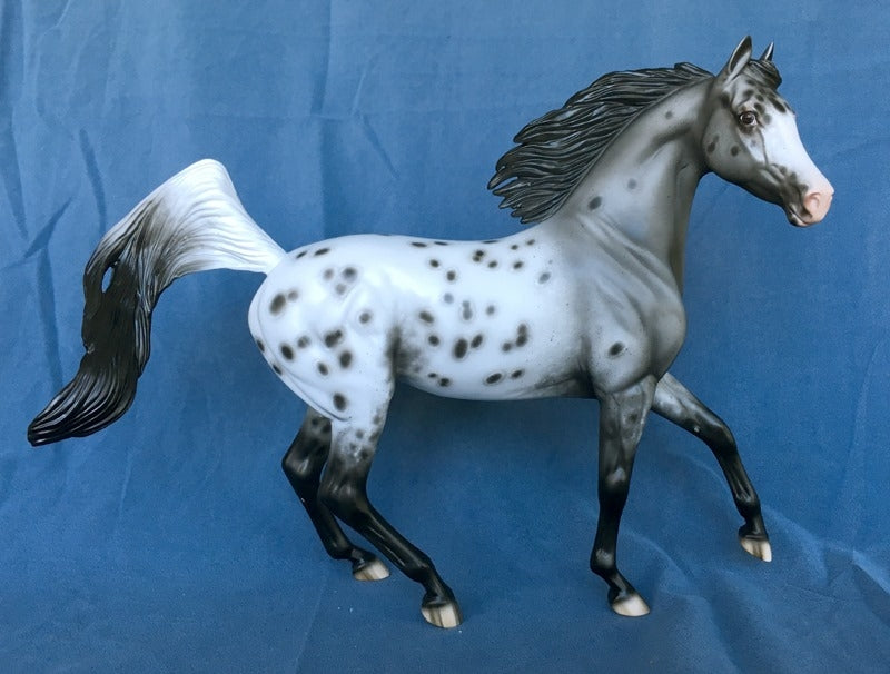JUST IMAGINE-OOAK APPALOOSA ARABIAN MARE BY SHERYL LEISURE 5/7