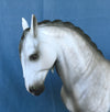 NO BOUNDRIES-OOAK DAPPLE GREY ANDALUSIAN MODEL HORSE 5/7