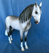 NO BOUNDRIES-OOAK DAPPLE GREY ANDALUSIAN MODEL HORSE 5/7
