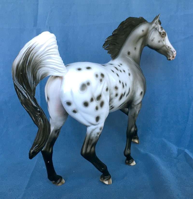 JUST IMAGINE-OOAK APPALOOSA ARABIAN MARE BY SHERYL LEISURE 5/7