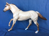 POSITIVE FOCUS-OOAK APRICOT DUN FOUNDATION QUARTER HORSE 5/8