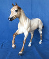 POSITIVE FOCUS-OOAK APRICOT DUN FOUNDATION QUARTER HORSE 5/8