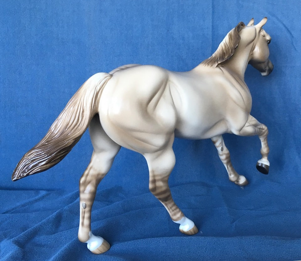 NO DOUBT OOAK LIGHT DUN FOUNDATION QUARTER HORSE 5/15