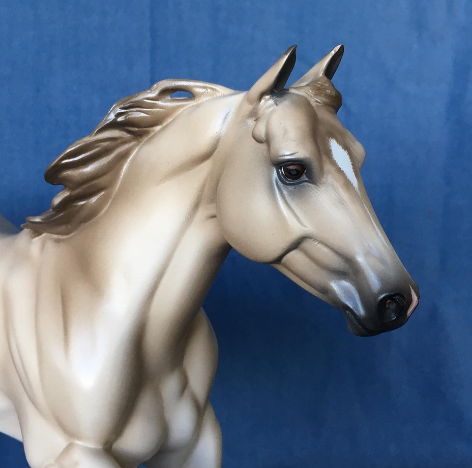 NO DOUBT OOAK LIGHT DUN FOUNDATION QUARTER HORSE 5/15