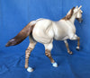 POSITIVE FOCUS-OOAK APRICOT DUN FOUNDATION QUARTER HORSE 5/8