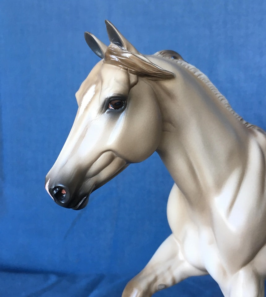 NO DOUBT OOAK LIGHT DUN FOUNDATION QUARTER HORSE 5/15