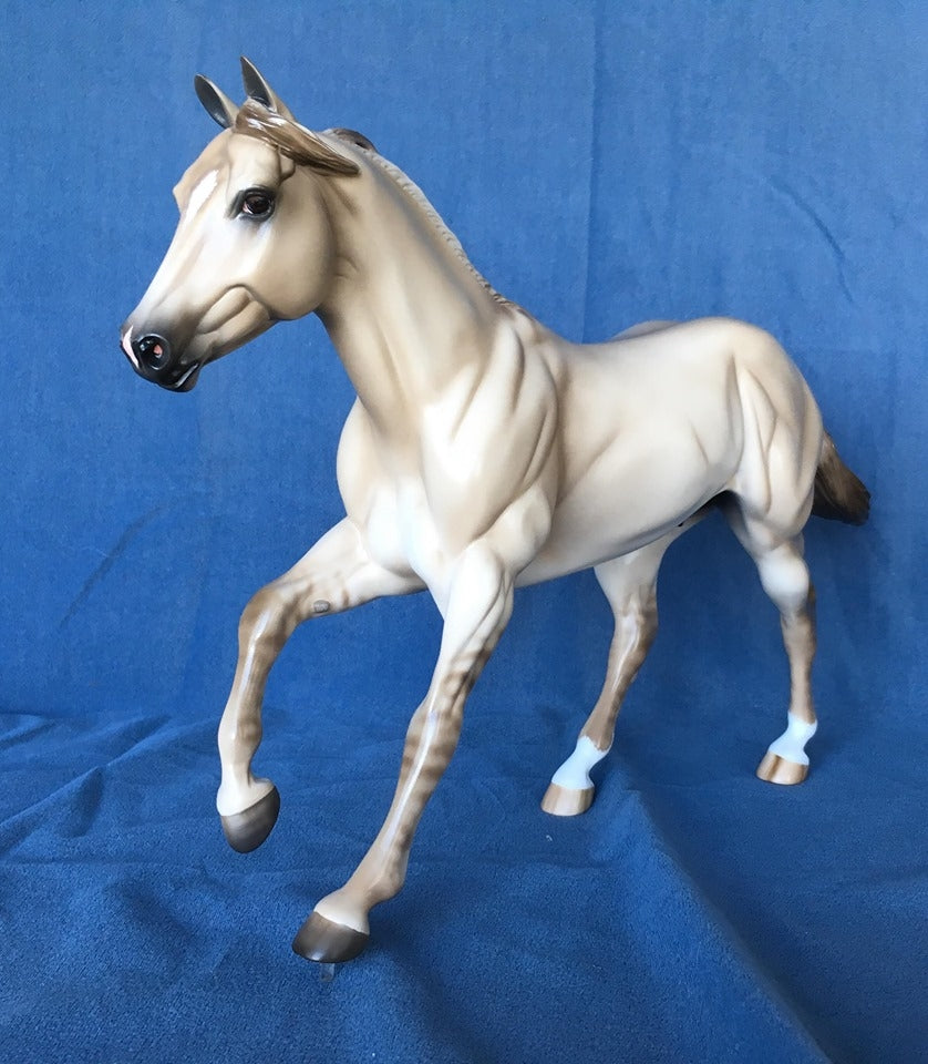 NO DOUBT OOAK LIGHT DUN FOUNDATION QUARTER HORSE 5/15
