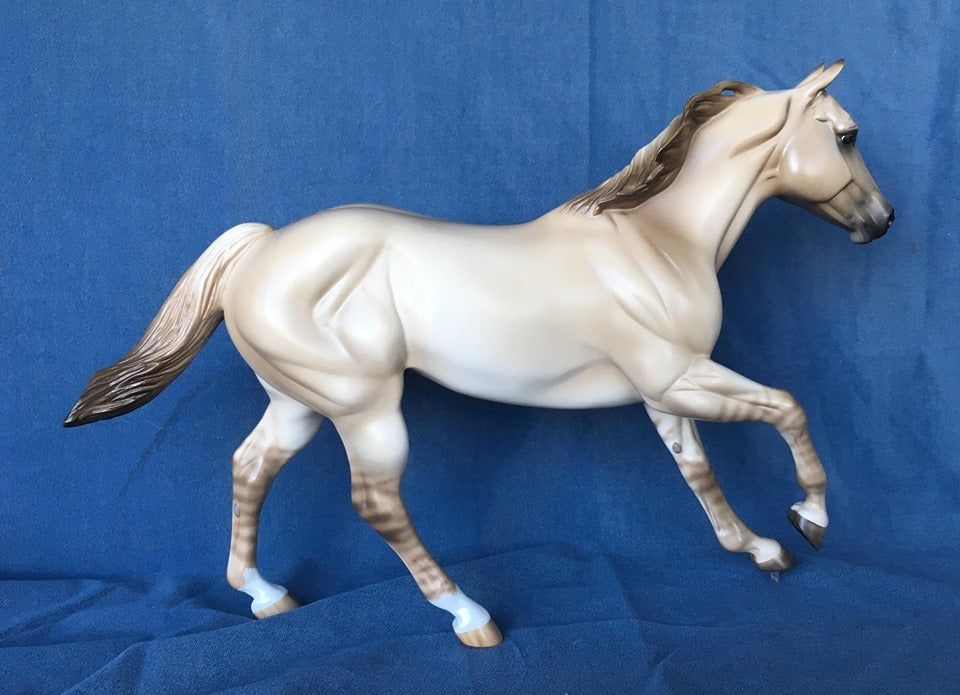 NO DOUBT OOAK LIGHT DUN FOUNDATION QUARTER HORSE 5/15