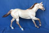 POSITIVE FOCUS-OOAK APRICOT DUN FOUNDATION QUARTER HORSE 5/8