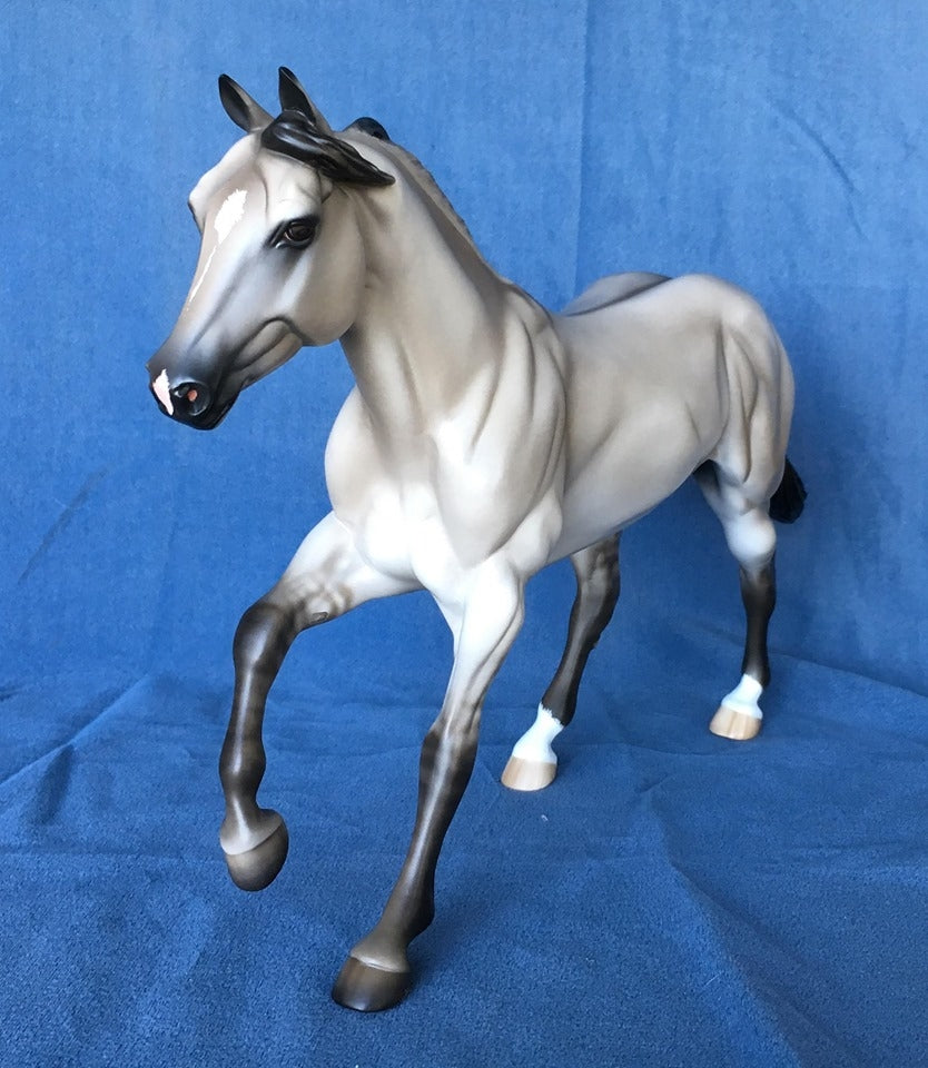 RISE UP OOAK SILVER DUN FOUNDATION QUARTER HORSE 5/15