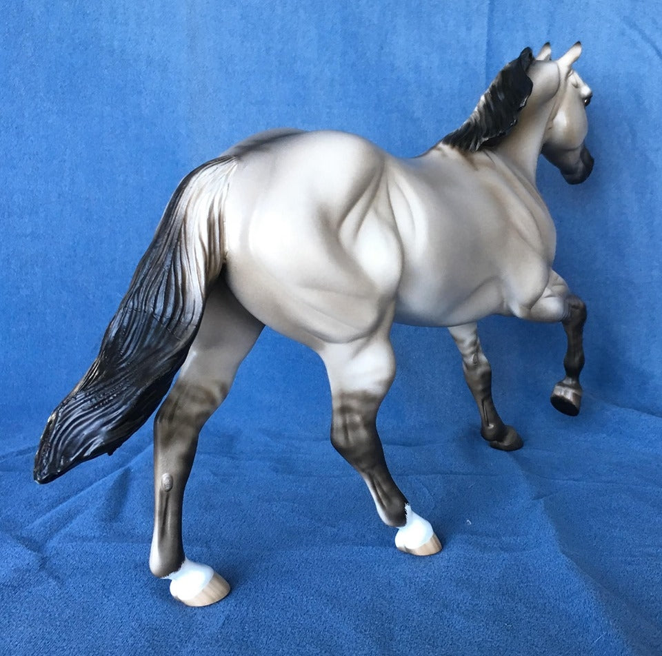 RISE UP OOAK SILVER DUN FOUNDATION QUARTER HORSE 5/15