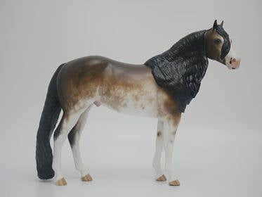 A VOTRE SANTE - OOAK BAY SABINO ISH BY SHERYL LEISURE 3/26/20