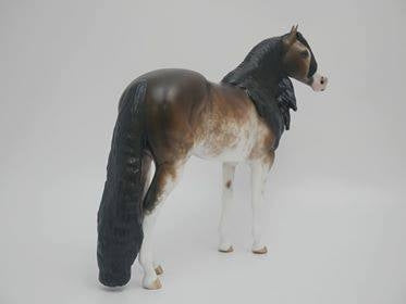 A VOTRE SANTE - OOAK BAY SABINO ISH BY SHERYL LEISURE 3/26/20