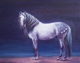 Orion-LE-72 Andalusion Art of The Horse Finalist Lois Rose EQ 2020