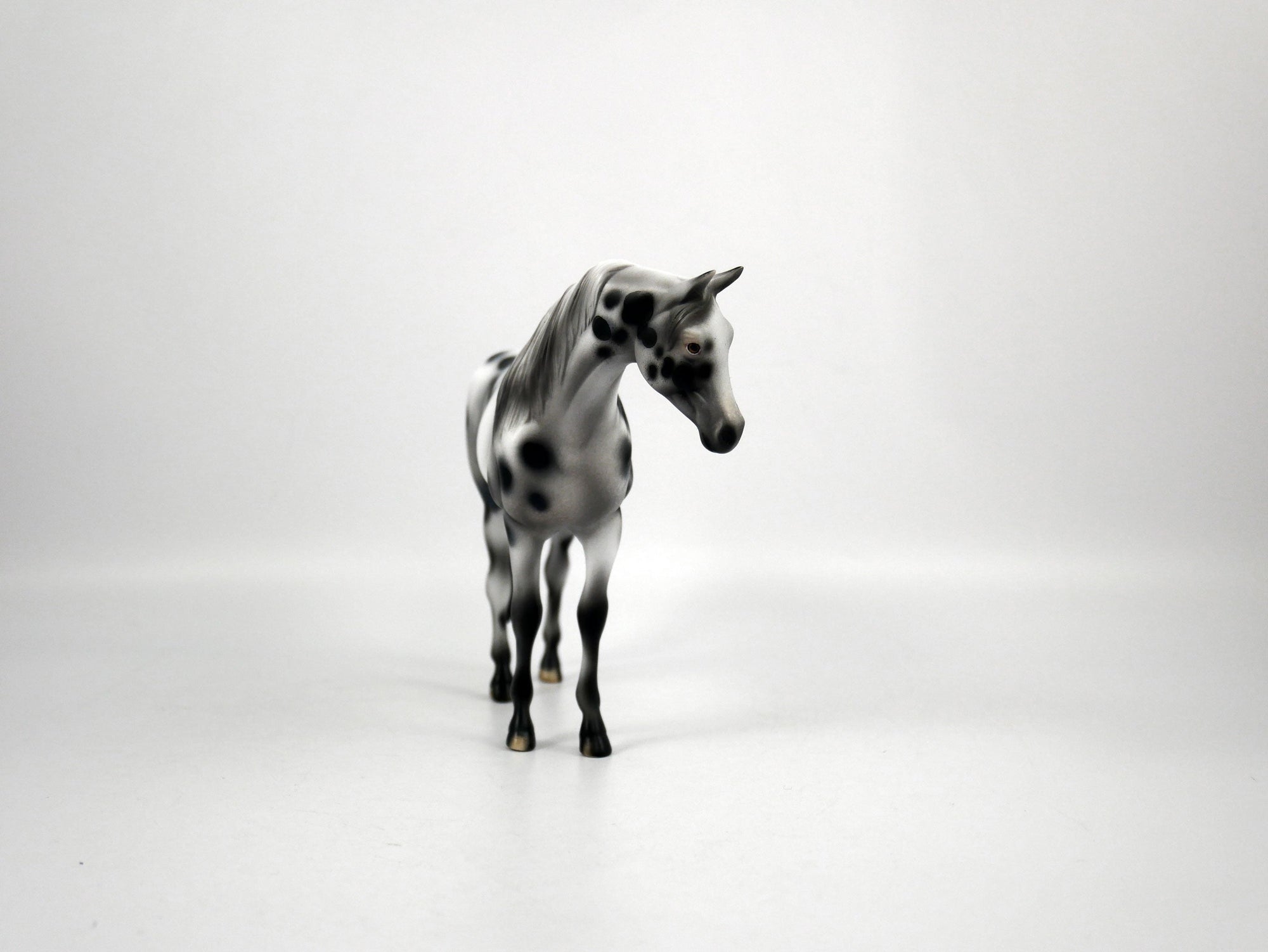 ABBA-OOAK Appaloosa Pebbles Arabian Mare 1/8/21