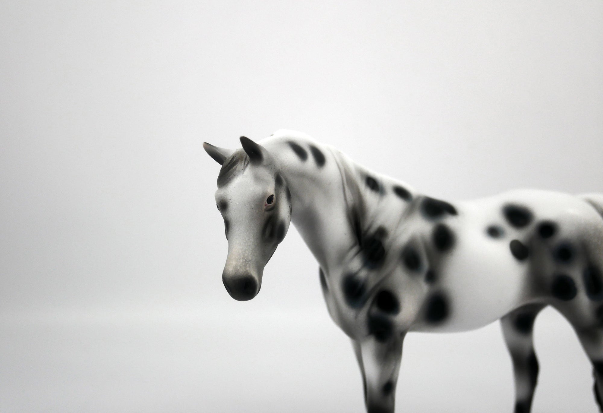 ABBA-OOAK Appaloosa Pebbles Arabian Mare 1/8/21