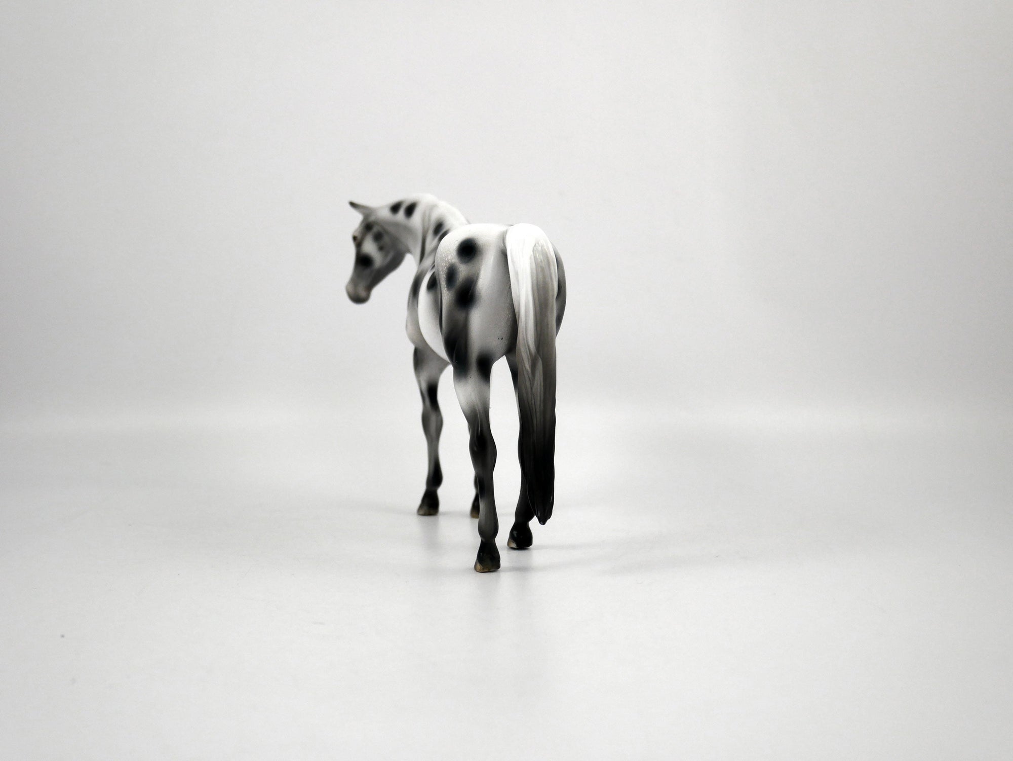 ABBA-OOAK Appaloosa Pebbles Arabian Mare 1/8/21