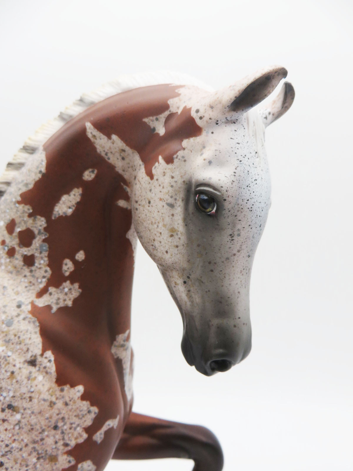 AQIDAH - OOAK FLEA BITTEN GREY WITH BLOODY SHOULDER MARKS Arabian Mare Painted by MYLA PEARCE