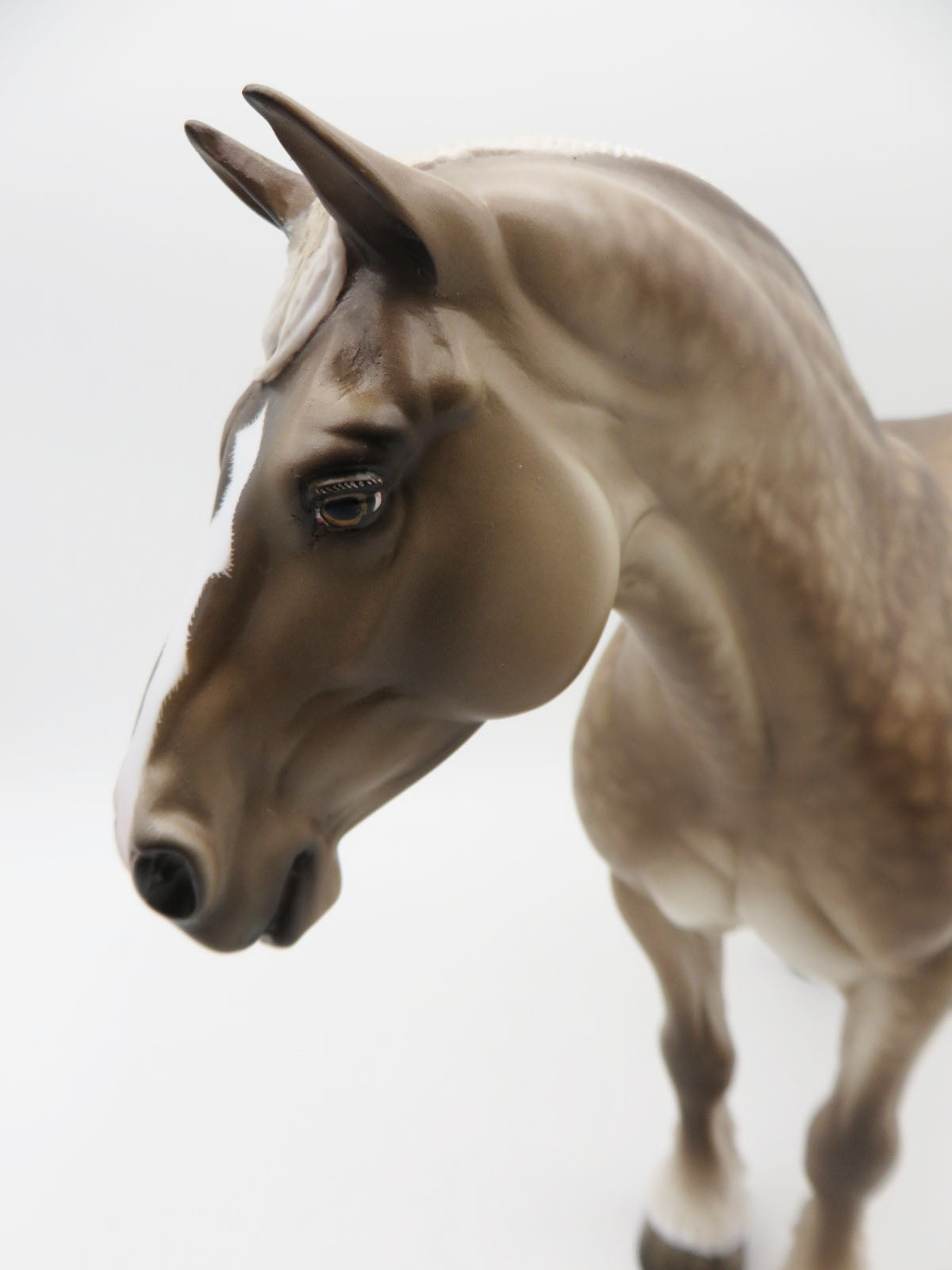 ASK ME WHY - OOAK - Dappled Silver Heavy Draft by Sheryl Leisure - Best Offers 2/6/23