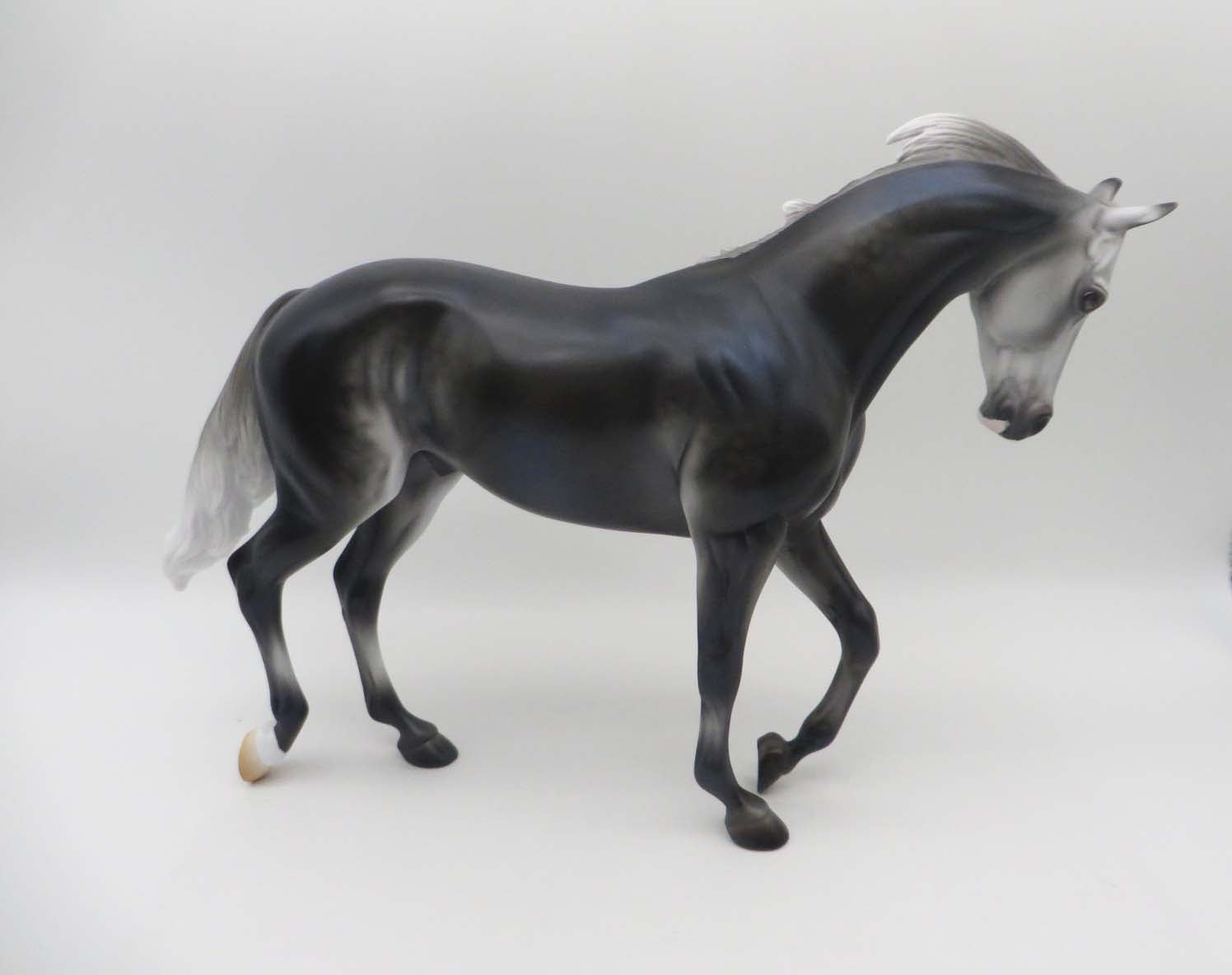A Thundering Young Black Going Grey Thoroughbred By Ashley Palmer SHCF23