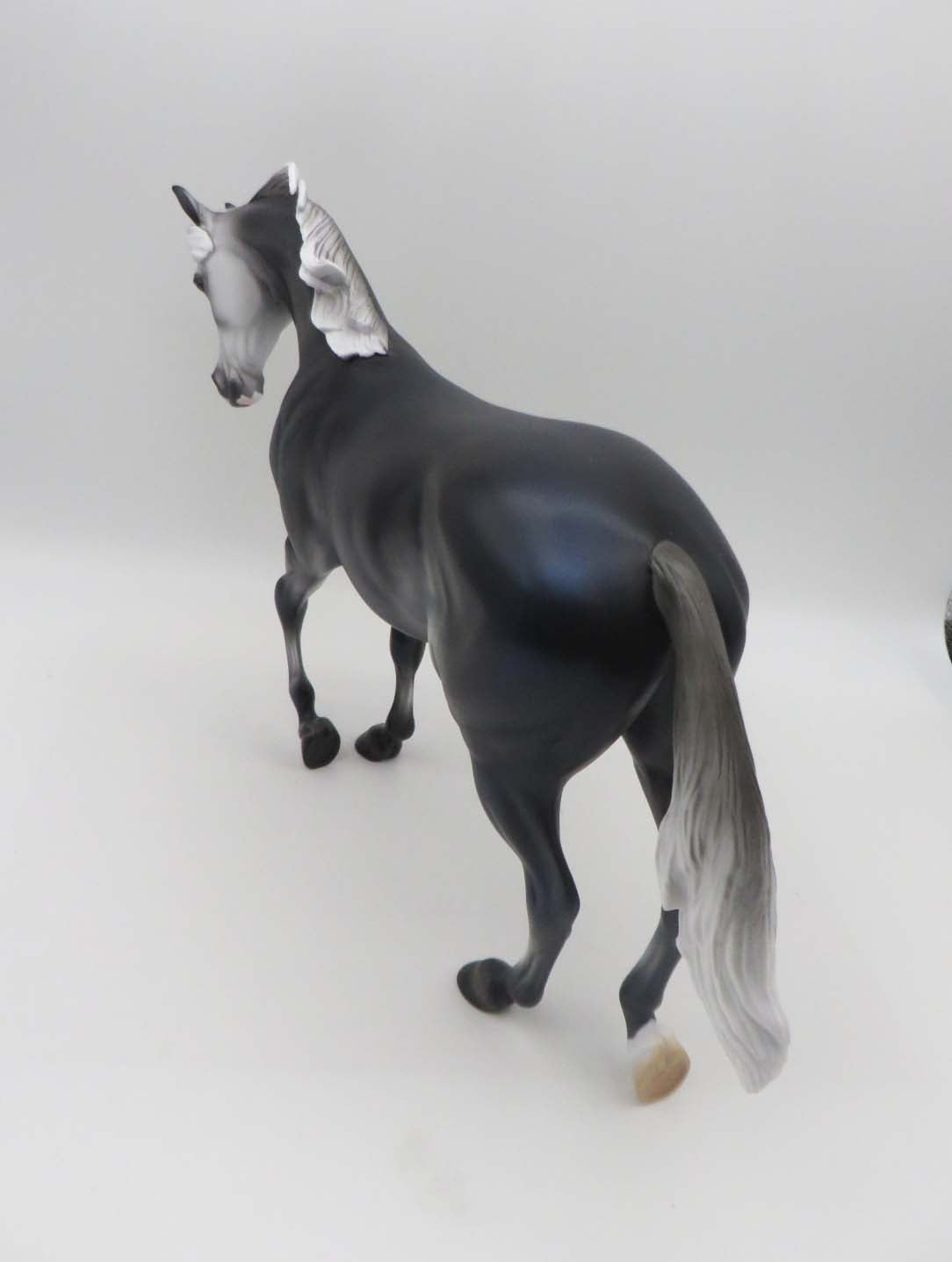 A Thundering Young Black Going Grey Thoroughbred By Ashley Palmer SHCF23